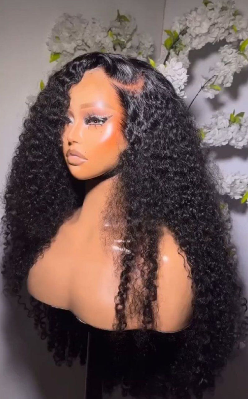 200% Density Burmese Bohemian Curly 4x4 5x5 6x6 Closure HD Lace Wig